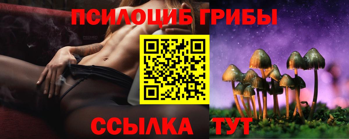 Горно-Алтайск  Галлюциногенные грибы Magic Shrooms  Вход с VPN 
